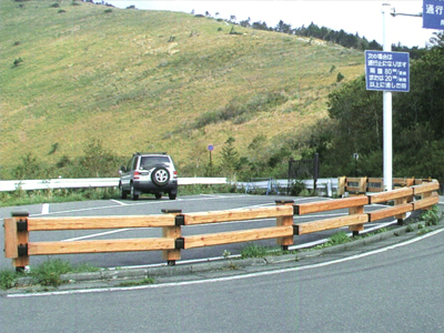 ����194�����r�[�i�X���C��